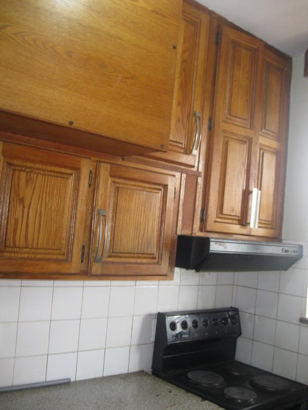 To Let 3 Bedroom Property for Rent in Arcadia Gauteng