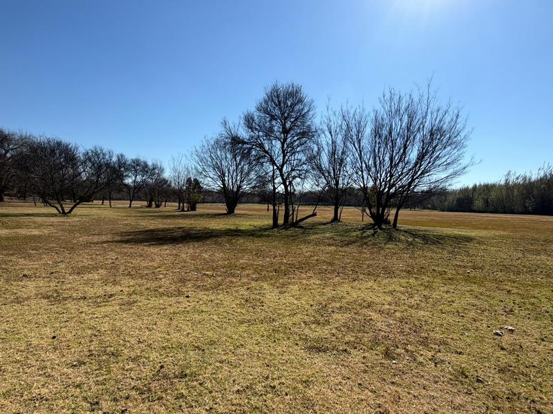 4 Bedroom Property for Sale in Three Rivers Gauteng