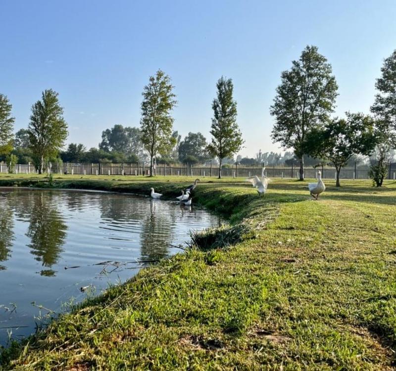 0 Bedroom Property for Sale in Riverspray Lifestyle Estate Gauteng