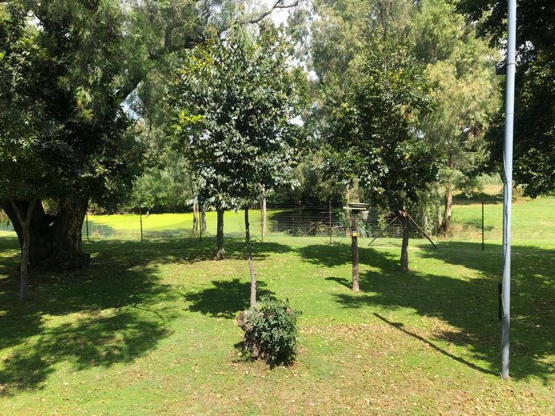 10 Bedroom Property for Sale in Knopjeslaagte Gauteng