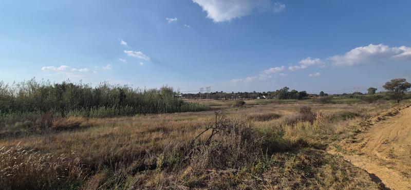 10 Bedroom Property for Sale in Knopjeslaagte Gauteng