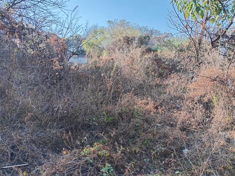 0 Bedroom Property for Sale in Vaaloewer Gauteng