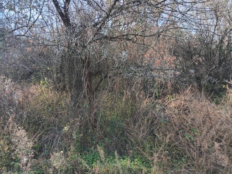 0 Bedroom Property for Sale in Vaaloewer Gauteng