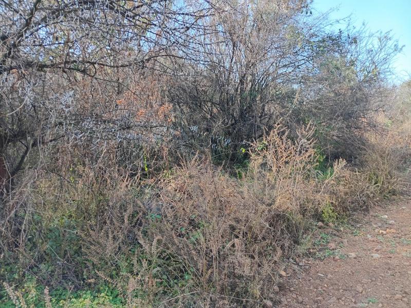 0 Bedroom Property for Sale in Vaaloewer Gauteng