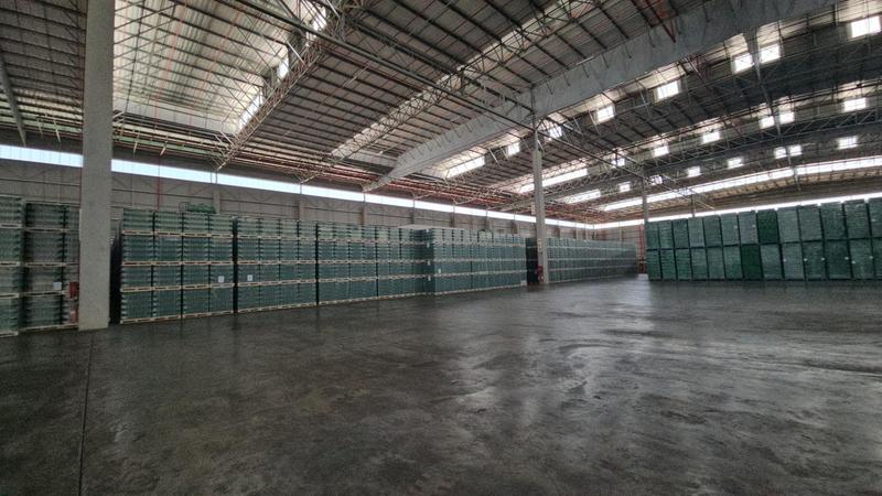 To Let Commercial Property for Rent in Longlake Gauteng