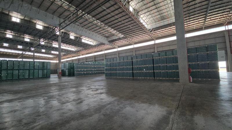To Let Commercial Property for Rent in Longlake Gauteng