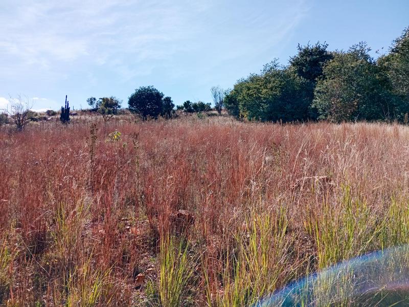 0 Bedroom Property for Sale in Vaaloewer Gauteng