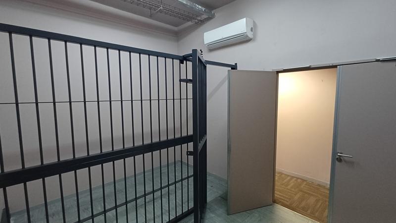 To Let Commercial Property for Rent in Highveld Technopark Gauteng