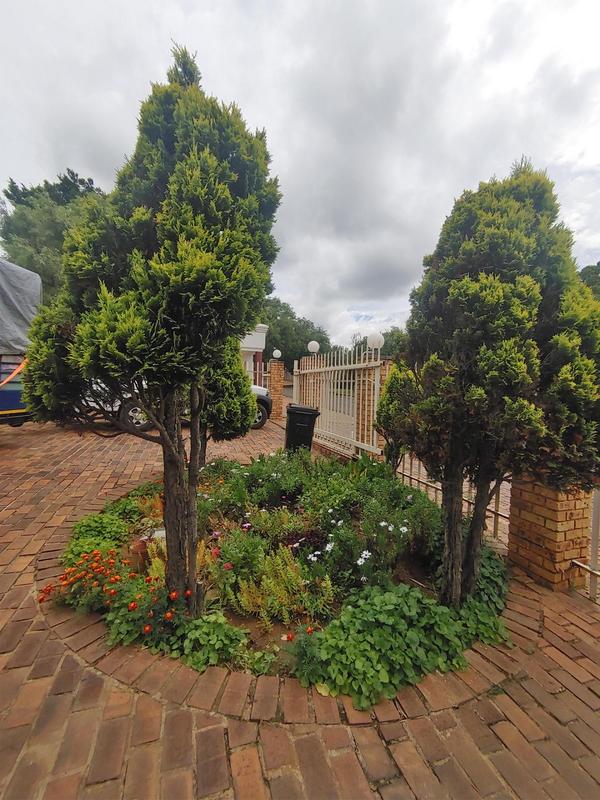 To Let 4 Bedroom Property for Rent in Dalpark Proper Gauteng