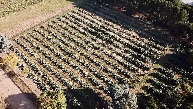 5 Bedroom Property for Sale in Mooilande Gauteng
