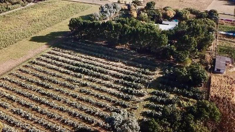 5 Bedroom Property for Sale in Mooilande Gauteng