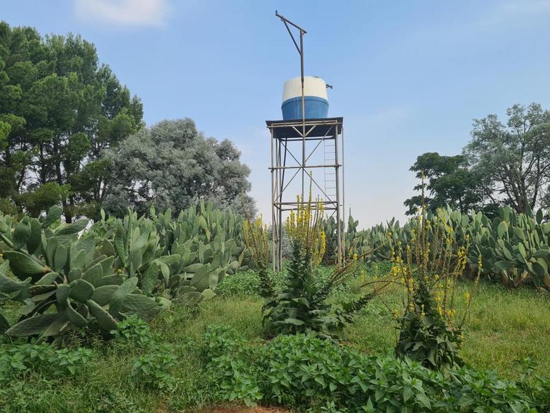 5 Bedroom Property for Sale in Mooilande Gauteng
