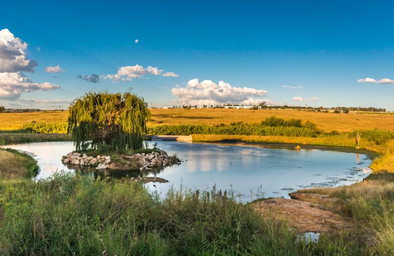 To Let 1 Bedroom Property for Rent in Waterfall Gauteng