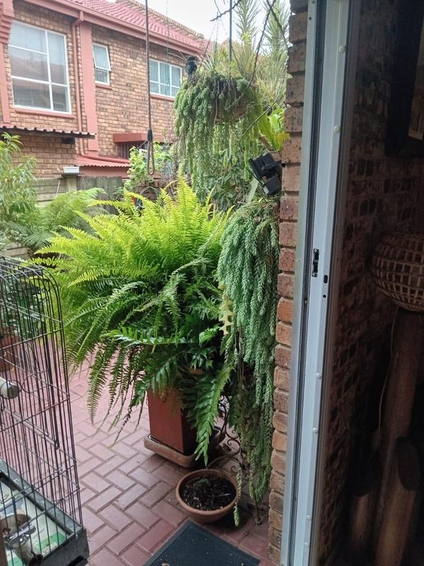2 Bedroom Property for Sale in Dorandia Gauteng
