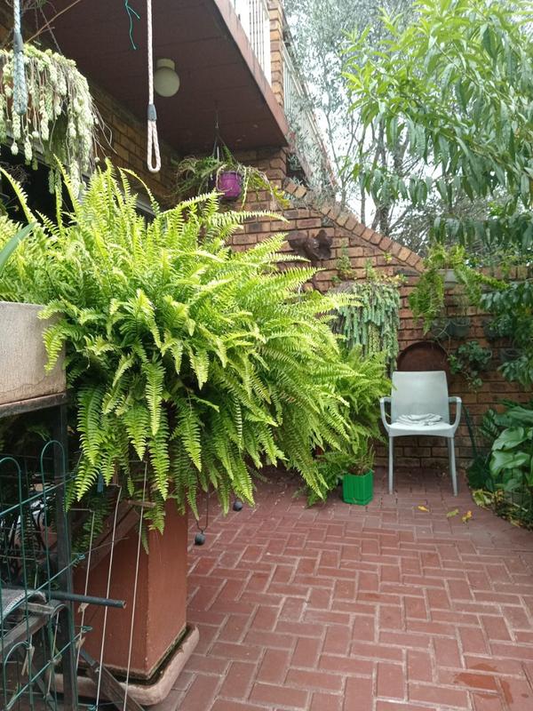2 Bedroom Property for Sale in Dorandia Gauteng