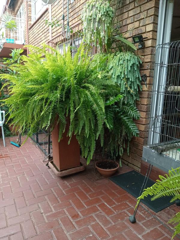 2 Bedroom Property for Sale in Dorandia Gauteng