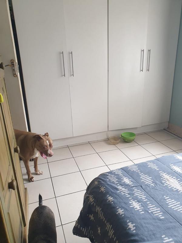 2 Bedroom Property for Sale in South Hills Gauteng