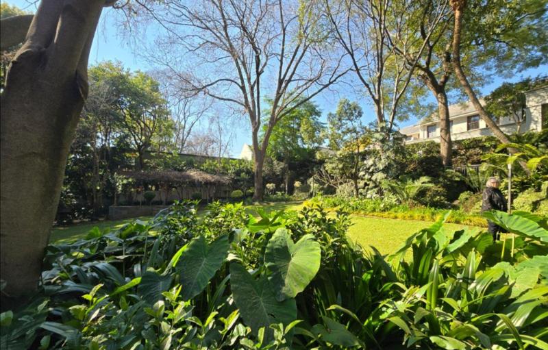 To Let 1 Bedroom Property for Rent in Waterkloof A H Gauteng