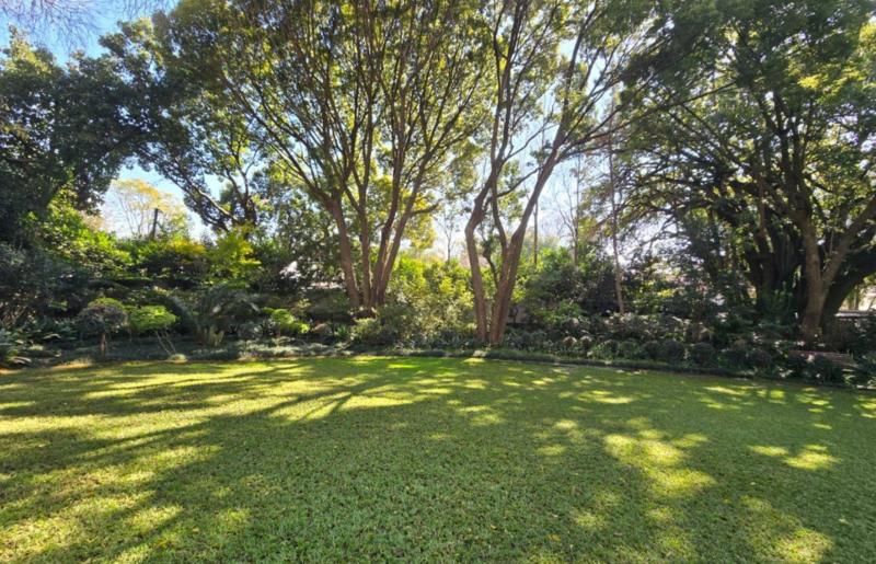 To Let 1 Bedroom Property for Rent in Waterkloof A H Gauteng