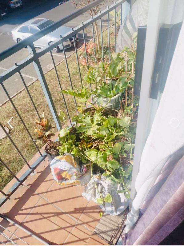 To Let 2 Bedroom Property for Rent in Benoni Gauteng