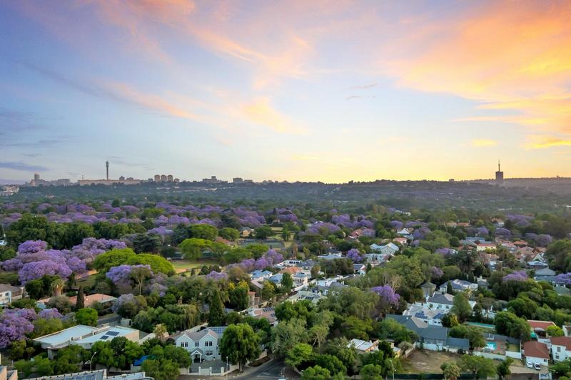 To Let 2 Bedroom Property for Rent in Rosebank Gauteng