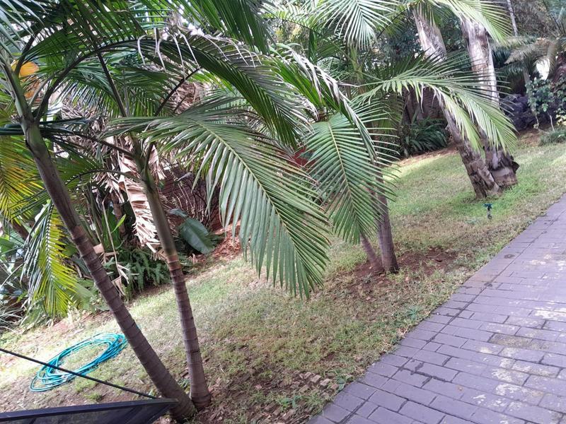 22 Bedroom Property for Sale in Arcadia Gauteng