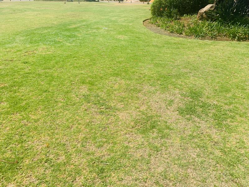 0 Bedroom Property for Sale in Savannah Country Estate Gauteng