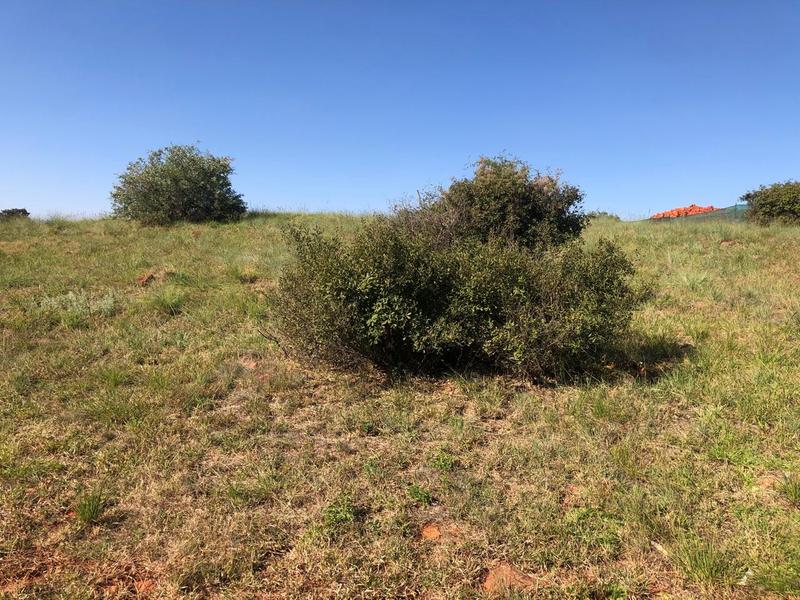 0 Bedroom Property for Sale in The Hills Game Reserve Estate Gauteng