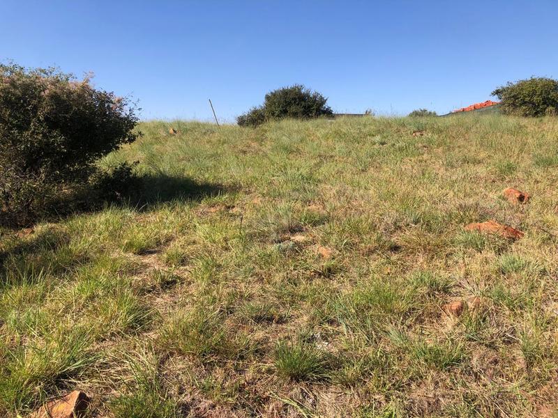 0 Bedroom Property for Sale in The Hills Game Reserve Estate Gauteng