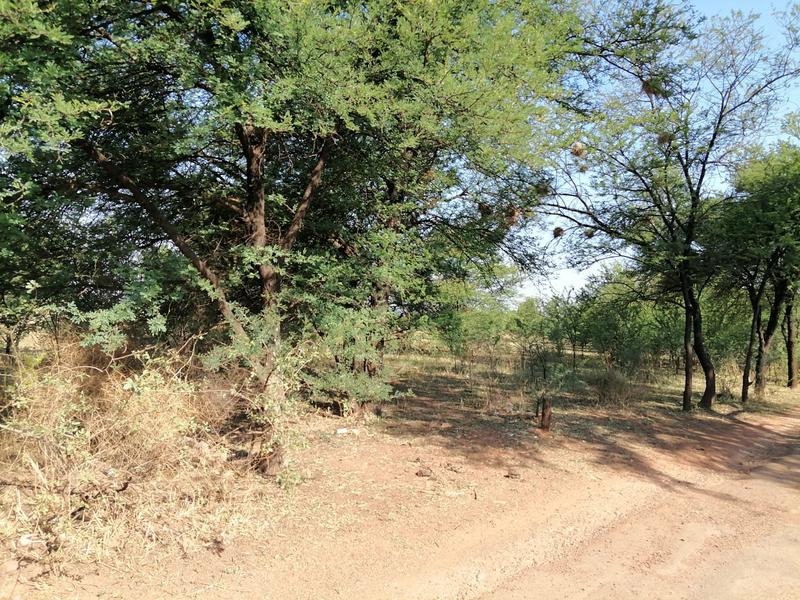 0 Bedroom Property for Sale in Homestead Apple Orchards Gauteng