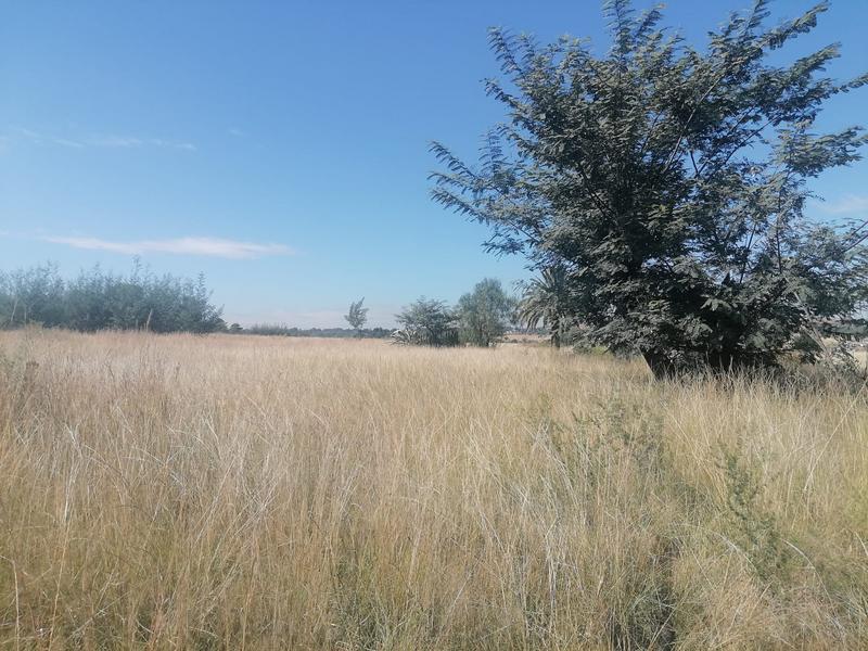 0 Bedroom Property for Sale in Walkerville Gauteng