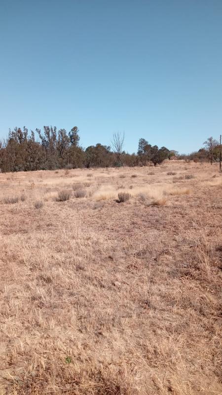 0 Bedroom Property for Sale in Walkerville Gauteng
