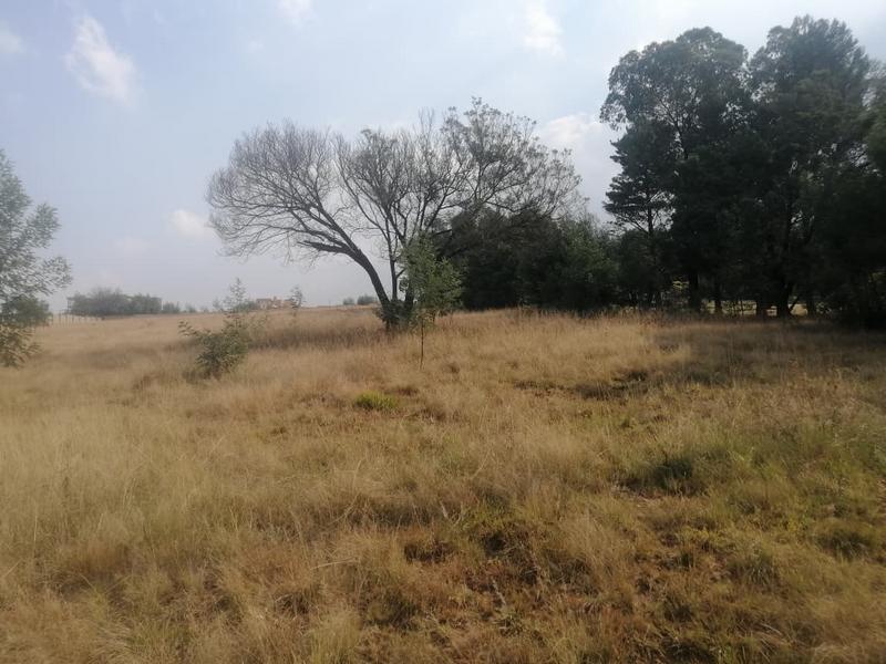 0 Bedroom Property for Sale in Walkerville Gauteng