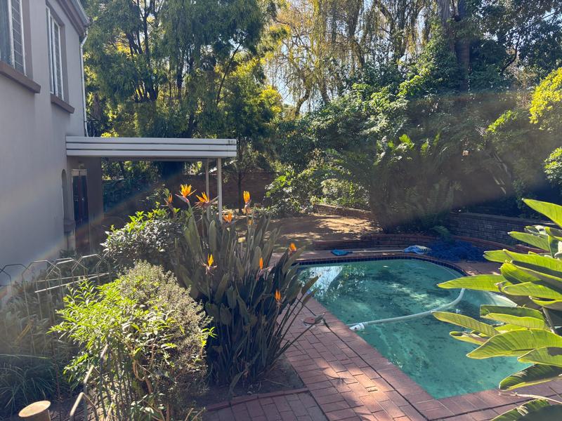 To Let 5 Bedroom Property for Rent in Robin Hills Gauteng
