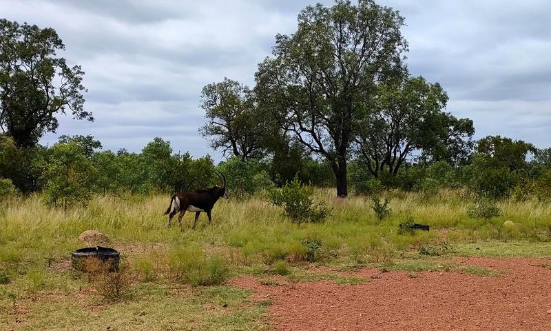 0 Bedroom Property for Sale in Bronkhorstspruit Rural Gauteng