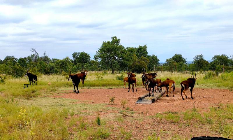 0 Bedroom Property for Sale in Bronkhorstspruit Rural Gauteng