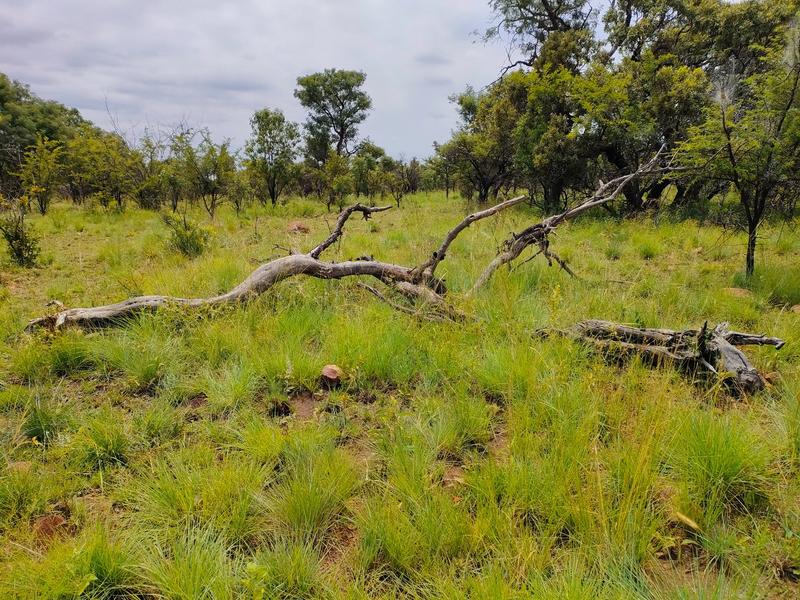 0 Bedroom Property for Sale in Bronkhorstspruit Rural Gauteng