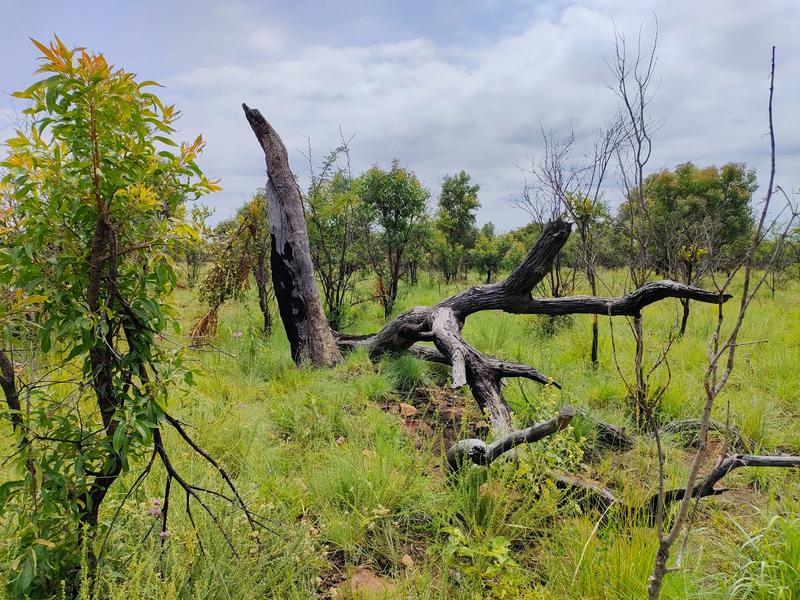 0 Bedroom Property for Sale in Bronkhorstspruit Rural Gauteng