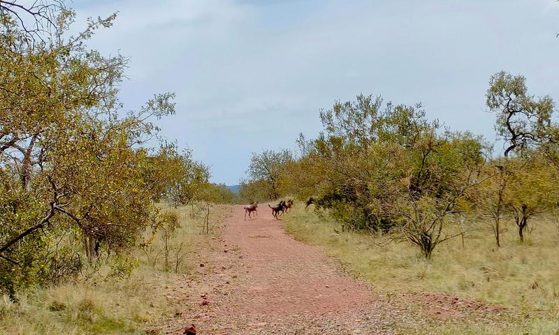 0 Bedroom Property for Sale in Bronkhorstspruit Rural Gauteng