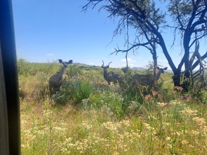 0 Bedroom Property for Sale in Lanseria Gauteng