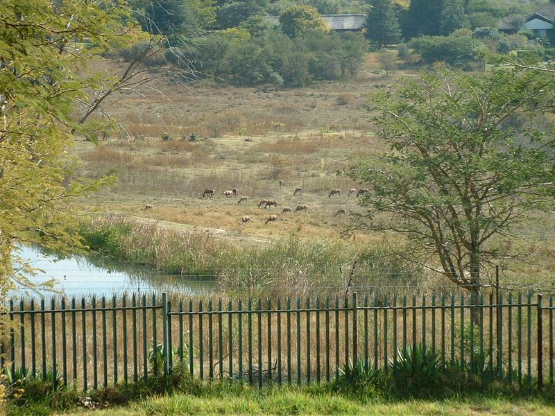 To Let 5 Bedroom Property for Rent in North Riding Gauteng