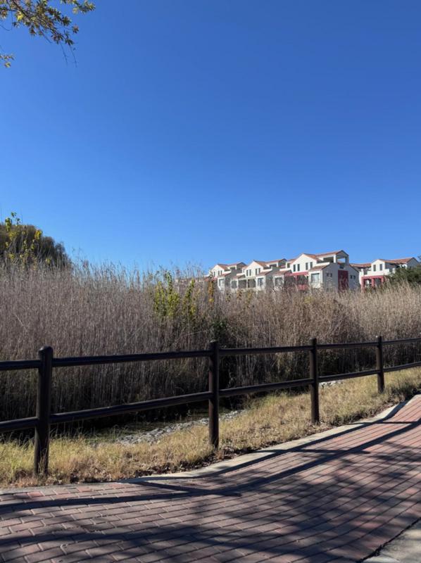 To Let 1 Bedroom Property for Rent in Craigavon Gauteng