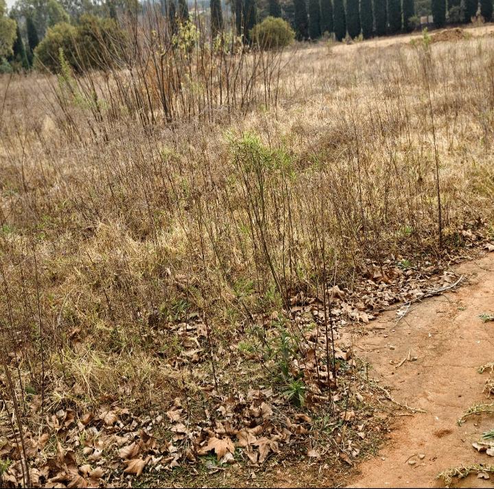 0 Bedroom Property for Sale in Glen Austin Gauteng