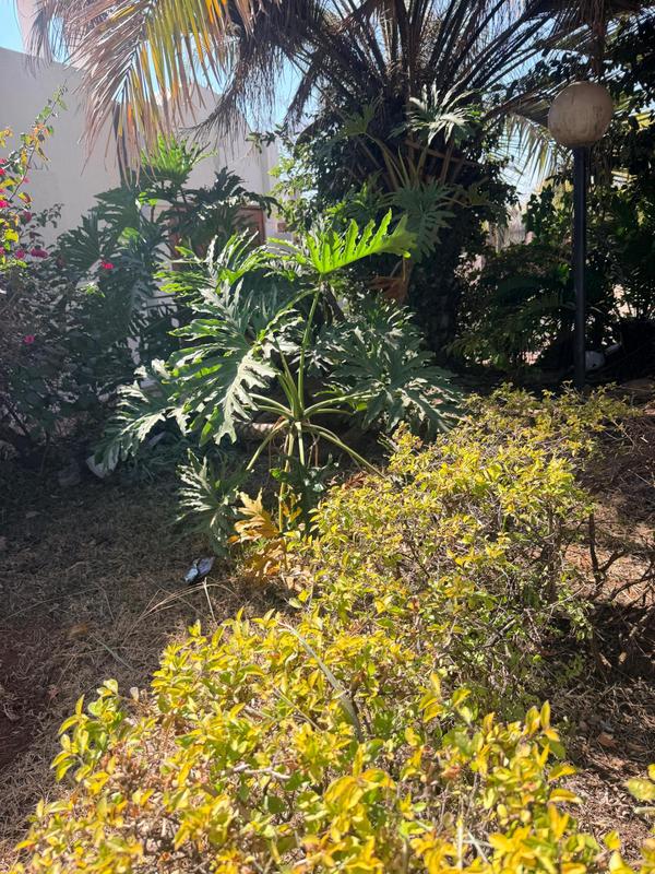 To Let 4 Bedroom Property for Rent in Laudium Gauteng