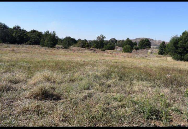 0 Bedroom Property for Sale in Berg En Dal Gauteng