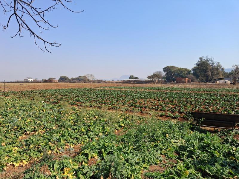 3 Bedroom Property for Sale in Rietfontein Gauteng