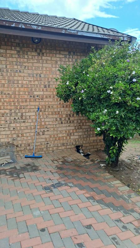 To Let 3 Bedroom Property for Rent in Marlands Gauteng