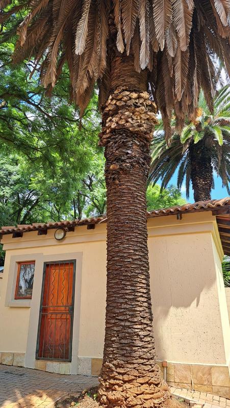 4 Bedroom Property for Sale in Kensington Gauteng