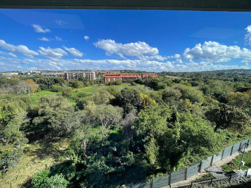To Let Commercial Property for Rent in Centurion Gauteng