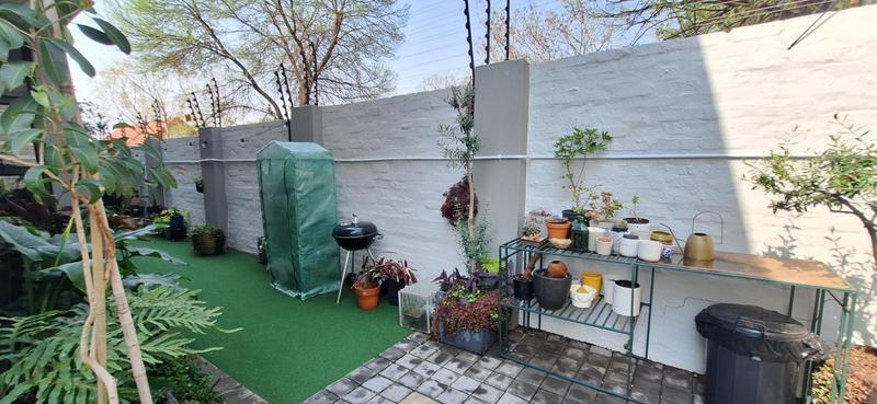 To Let 3 Bedroom Property for Rent in Hazelwood Gauteng